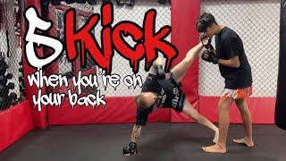 5 different Kicks when on your back in MMA kicksinmma [upl. by Ayaj]