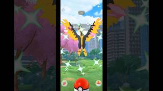 When I Got✨Shiny Galarian Moltres From ebay…😂in pokemongo [upl. by Sinnylg]