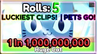 😱 THE LUCKIEST YOUTUBERS IN PETS GO 😱🍀📸 [upl. by Kazimir]