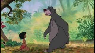 Il Libro della Giungla  Jungle Book in Italian Favole Per Bambini  Fiabe Italiane [upl. by Oelc]