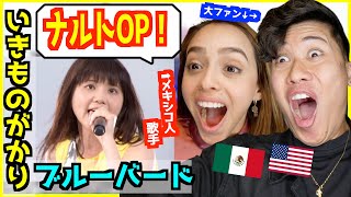 【 いきものがかり  ブルーバード 】全世界で超人気な日本の曲！ナルトの主題歌に外国人子供に戻る！【海外の反応】 [upl. by Elianora]