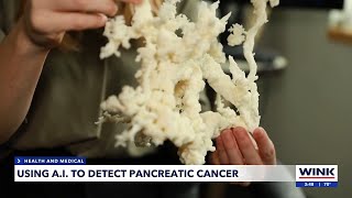 Using AI to detect pancreatic cancer [upl. by Cocke936]