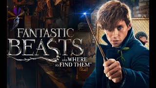 Fantastic Beasts and Where to Find Them Full Movie Plot In Hindi  Hollywood Movie Review [upl. by Tuckie]