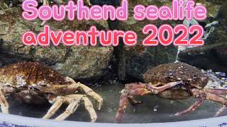 Southend sealife adventure [upl. by Aserret]