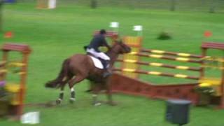 ♂ Nectar des Forets jumping stallion SF by Diamant de Semilly [upl. by Ave]