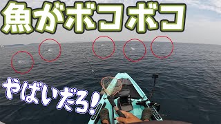 もう魚がばっこばこ！魚探が真っ赤！一瞬のチャンス [upl. by Charo]