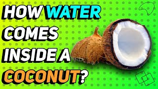 How Water forms inside Coconut [upl. by Ekram]