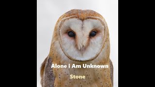 Stone Alone i Am Unknown [upl. by Hawthorn]