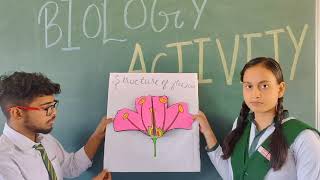 Structure of flowers Biology Activities🤗🤗 Presentation viral activity trending school viral [upl. by Ejrog]