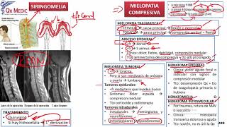 Patología de la Médula Espinal II y Malformaciones [upl. by Anitsyrc]