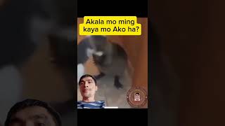 Mas malaki pa ang Daga kaysa pusa Di kinaya viralvideo funnymoment [upl. by Artamas]