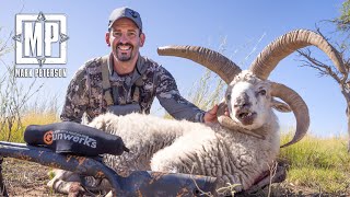 Hunting 4 Horn Ram in Argentina  Mark V Peterson Hunting [upl. by Ahsilif897]