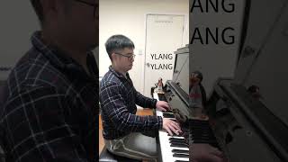 FKJ Ylang Ylang on Piano [upl. by Ntsyrk]