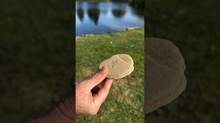 This man achieve 100 jumps rock skipping shorts skippingchallenge [upl. by Alphonsa]