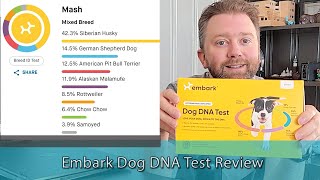 BEST DOG DNA TEST  Embark Dog DNA Test Review [upl. by Uokes]