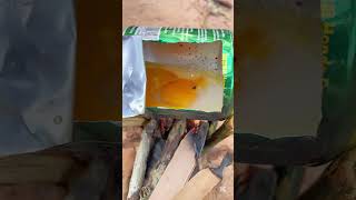 Food in the forest🌳🔥survival campings bushcraft experiment shortvideo [upl. by Lamb193]