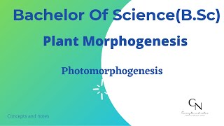 Photomorphogenesis  Phytochrome  Cryptochrome  Plant morphogenesis  For BSc students [upl. by Laban869]