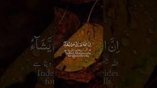 Tlawat Quran Hafiz Hassan 🌹 duet love islamicprayer [upl. by Nohshan]