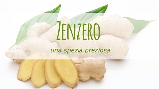 Zenzero una spezia preziosa Come utilizzarla [upl. by Aelrac]