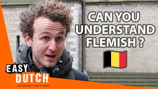 Do the Dutch Understand Flemish  Easy Dutch 58 [upl. by Gokey]