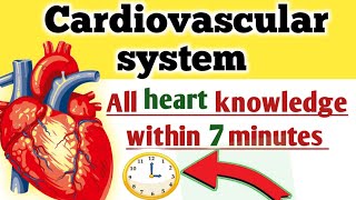 Cardiovascular system in urdu [upl. by Miof Mela]