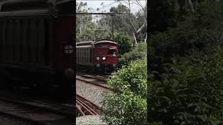 Steamrails Lilydale Shuttles 2024 [upl. by Nyrac]