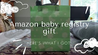 Amazon Baby Registry Welcome Box [upl. by Theran]