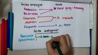 GnRH antagonist mp4  Pharmacology [upl. by Ohare]