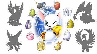 Gatomon  Tailmon Evolution Line [upl. by Fagan404]