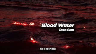 GRANDSON  Blood  Water 🎵 NO COPYRIGHT REMIX [upl. by Efrem]