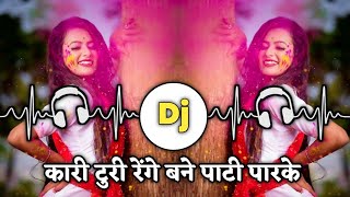 Kari Turi Renge Bane Pati Parke Dj Song  Shahi Rangila Holi Song Dj  Dj Dinesh Chisda 20 [upl. by Laucsap]