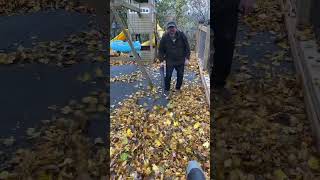 Leaf War 2024 stihl dewalt leafwar fall [upl. by Sydney]