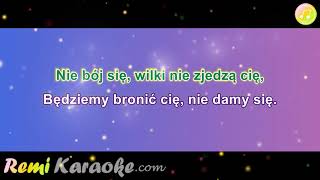 Czerwone Gitary  Pluszowe niedzwiadki karaoke  RemiKaraokecom [upl. by Cicely]