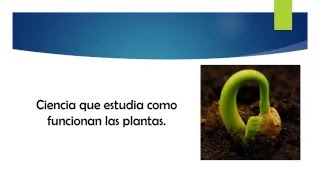 ¿Qué es la fisiología vegetal [upl. by Grissom]