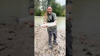 Coho Salmon Fishing Puyallup River silversalmon fish washington fishinglife pacificnorthwest [upl. by Leilani]