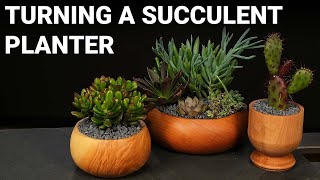 Turning a Succulent Planter [upl. by Martinelli597]