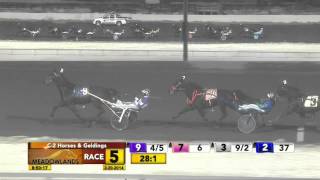 February 20 2014  Race 5  Coto Bluegrass [upl. by Chimene218]