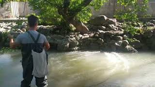 Catching small fish in the river with simple nets [upl. by Dahaf463]