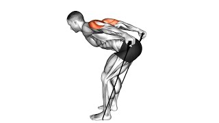 The BEST Resistance Band Workouts Triceps For BIGGER Arms [upl. by Illil755]