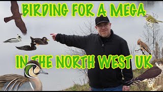 BIRDING FOR A MEGA RARE BIRD IN THE NORTH WEST UK [upl. by Ferree926]