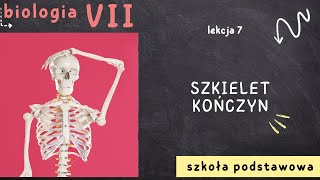 Biologia 7 Lekcja 7  Szkielet kończyn [upl. by Naillimxam]