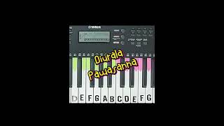 Diurala Pawasanna දිව්රාලා පවසන්න  Subscribe and Follow YCHORDS for more Keyboard Covers shorts [upl. by Helena264]