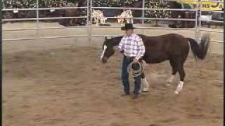 Round Pen Basics Control [upl. by Bohner]