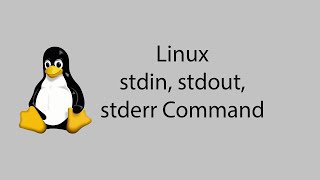 Learn Linux 22  stdin stdout stderr Command [upl. by Adnamal]