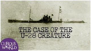 The Case of the U28 Creature [upl. by Ateerys]