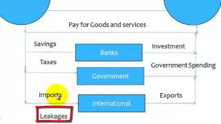 Circular Flow of Income Two Sector Economy  Class XII  Economics [upl. by Nador23]