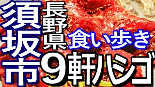 長野ゆる旅 須坂市で９軒ハシゴして食い歩き満喫 [upl. by Dex]