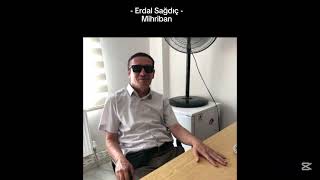 Erdal Sağdıç  Mihriban Cover [upl. by Sucramraj]