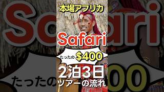 マサイ族トリビアたっぷり！ツアー３日目の様子🦓🦒 旅行 海外旅行 海外生活 アフリカ サファリ 動物 海外ツアー 海外vlog 女子旅 [upl. by Burrows]