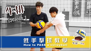 【牛排】EP1 排球低手擊球教學 How to pass a volleyball Tutorial [upl. by Haelak]